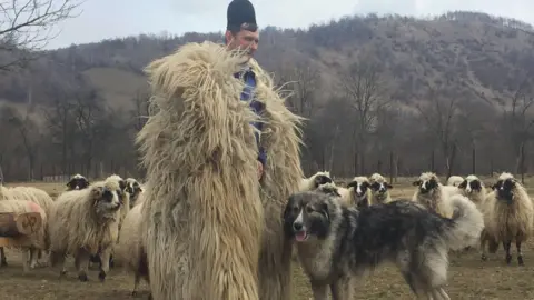 A farmer with his dog amid a flock of sheep