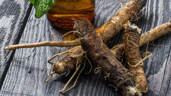 Struggling-with-High-Blood-Pressure-These-5-ancient-herbs-could.cms_.png