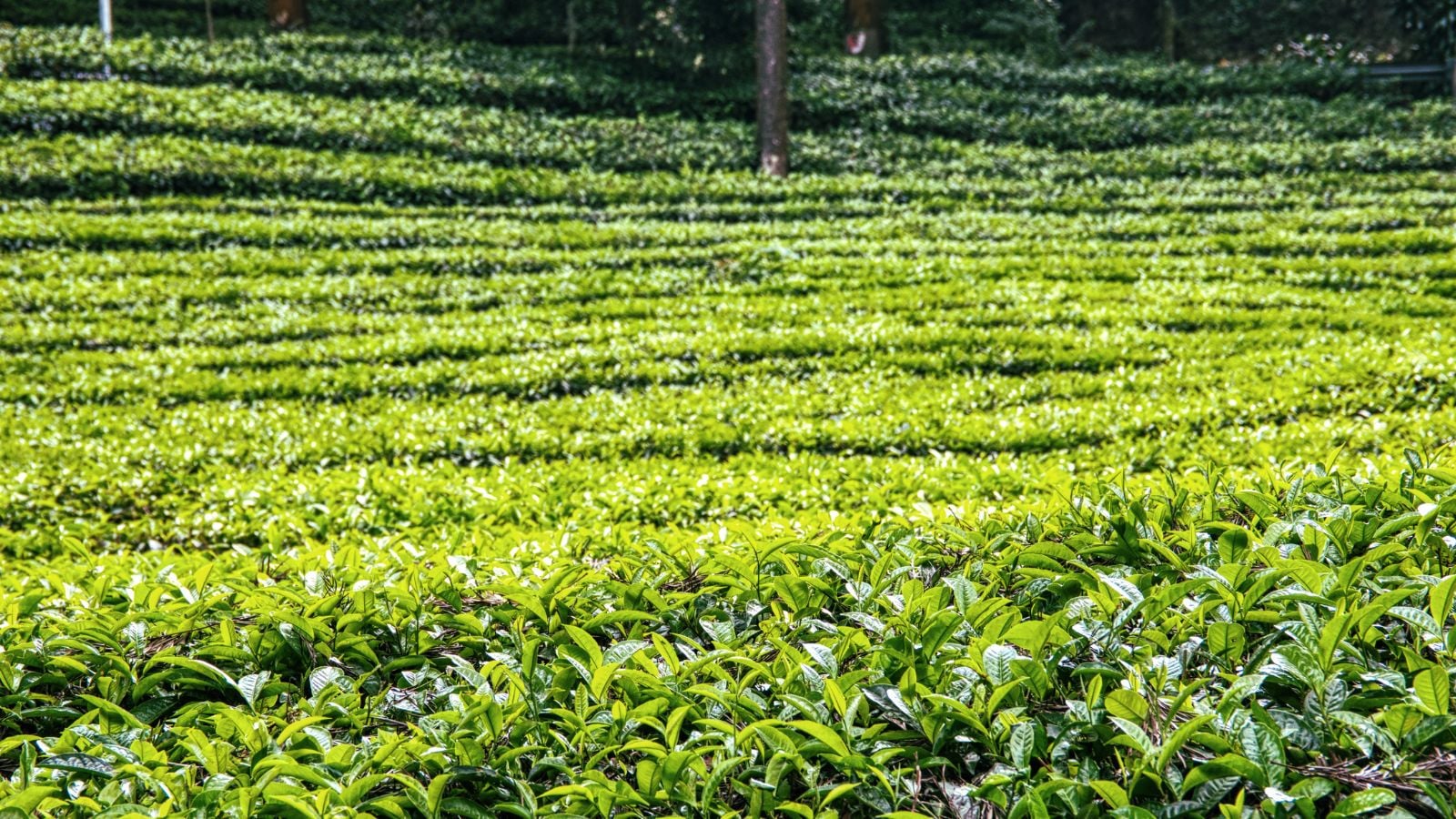 Top 10 Poorest States In Financial Year 2025 Top 10 Poorest States In Financial Year 2025